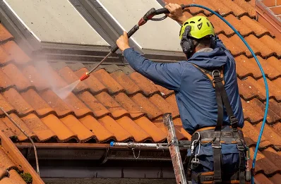 Démoussage et hydrofuge de toiture à Guêprei